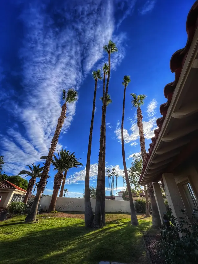 Premier Landscape & Tree Services, LLC — photo from the business 3
