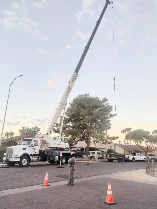 Top Leaf Tree Service — customer photo 6