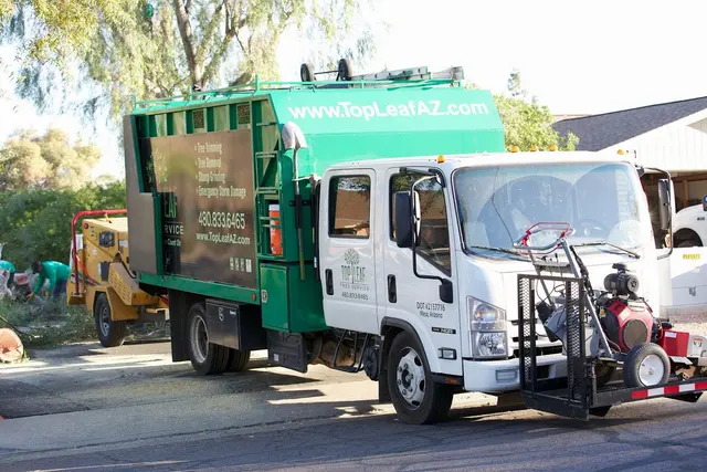 Top Leaf Tree Service — photo from the business 10