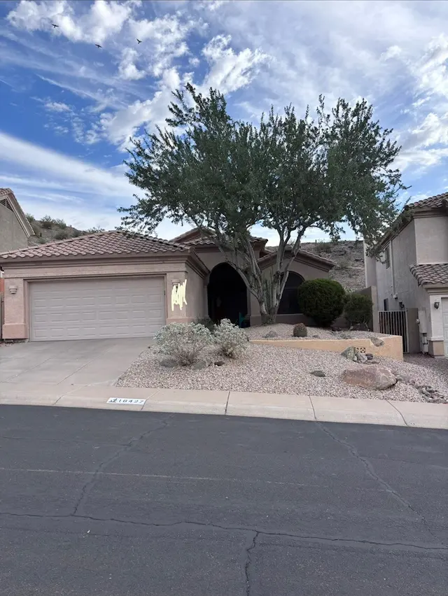 Top Leaf Tree Service — customer photo 5