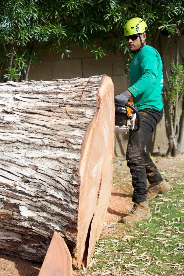 Top Leaf Tree Service — photo from the business 12