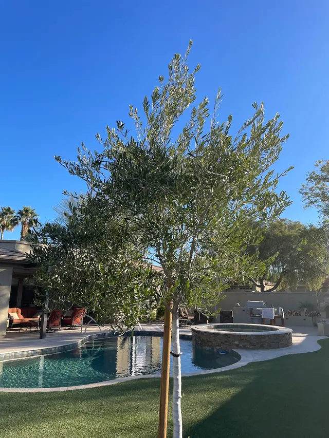 Top Leaf Tree Service — customer photo 3