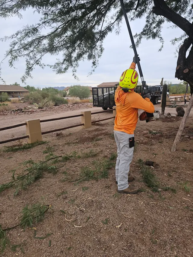 T's Tree Service and Firewood LLC — photo from the business 8