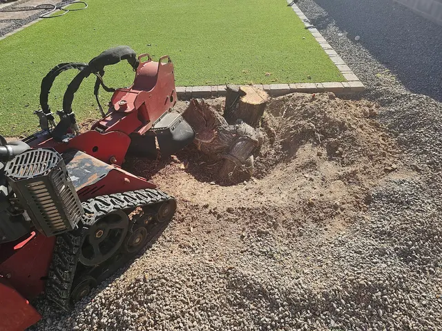 T's Tree Service and Firewood LLC — photo from the business 10