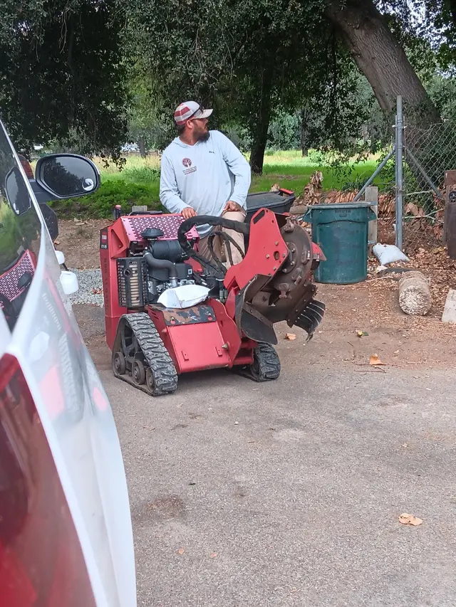T's Tree Service and Firewood LLC — photo from the business 4
