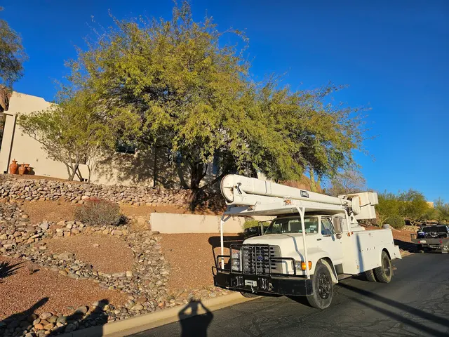 T's Tree Service and Firewood LLC — photo from the business 3