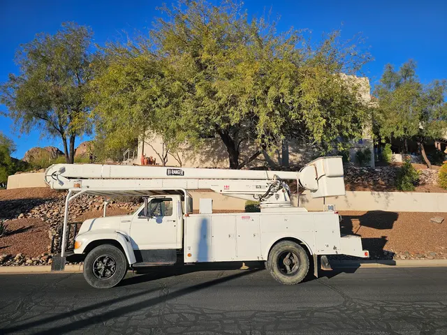 T's Tree Service and Firewood LLC — photo from the business 9