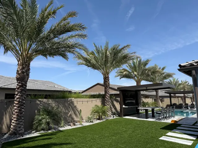 TDR Tree Solutions — customer photo 8