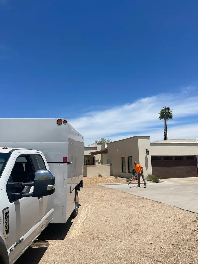 TDR Tree Solutions — photo from the business 6