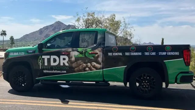 TDR Tree Solutions — photo from the business 4