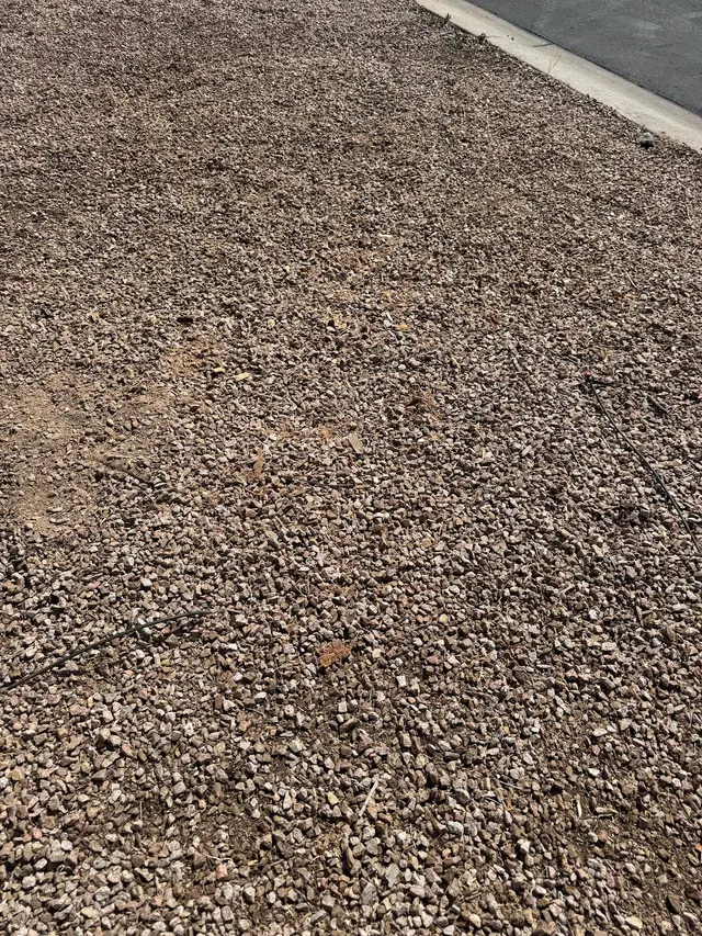 TDR Tree Solutions — customer photo 11