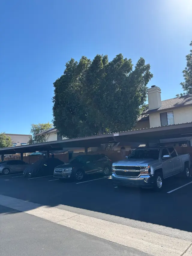Gilbert Tree Trimmers Service — customer photo 12