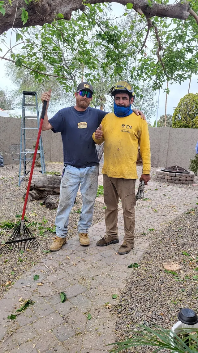 Gilbert Tree Trimmers Service — customer photo 5