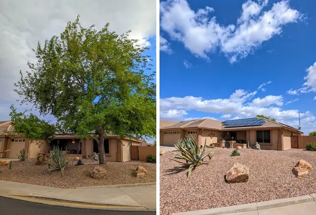 Bynum Tree and Landscape — photo from the business 5