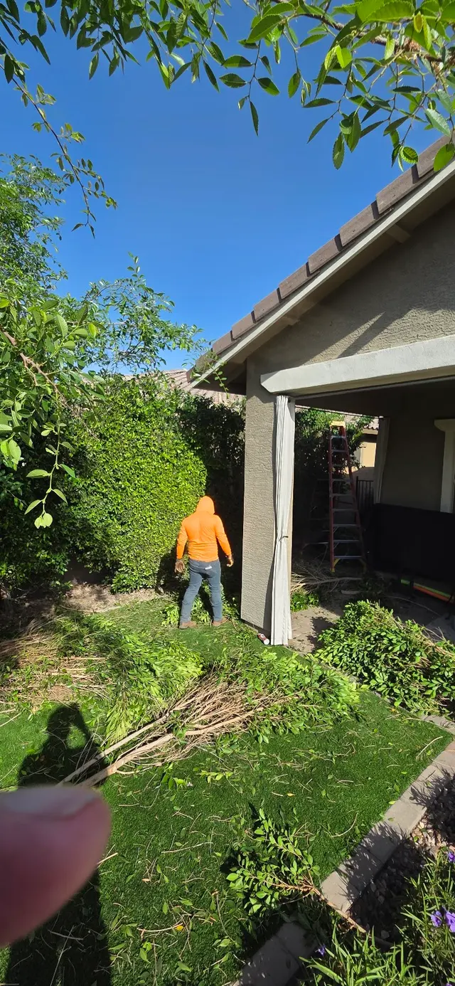 Customer photo of work by Jose Knows Trees, from Low Cost Slow Travel's review