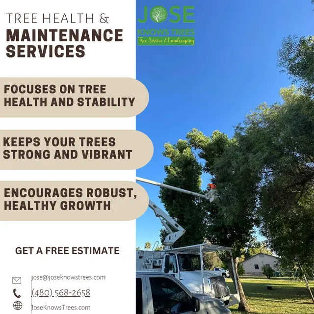 Jose Knows Trees — photo from the business 6
