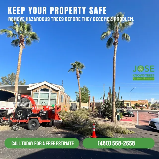 Jose Knows Trees — photo from the business 9
