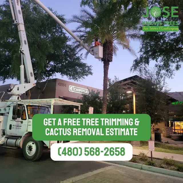 Jose Knows Trees — photo from the business 5