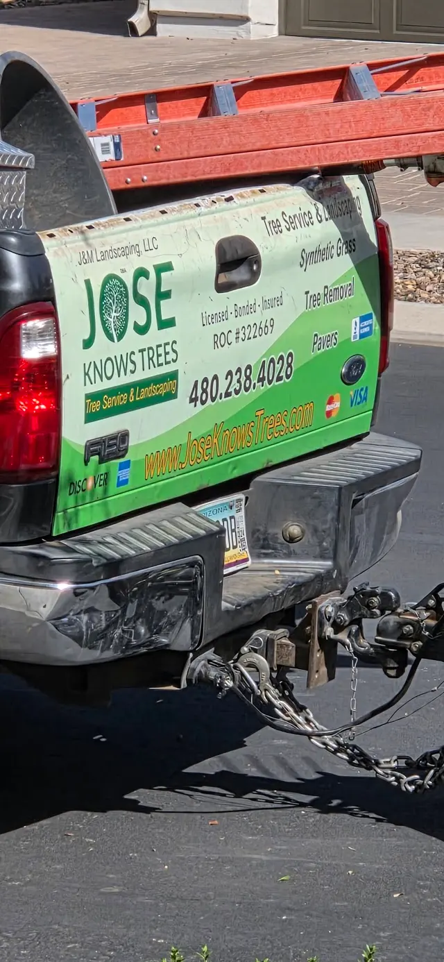 Customer photo of work by Jose Knows Trees, from Low Cost Slow Travel's review