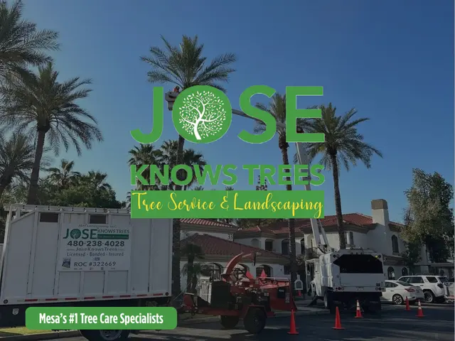 Jose Knows Trees — photo from the business 1