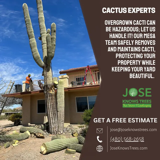 Jose Knows Trees — photo from the business 4