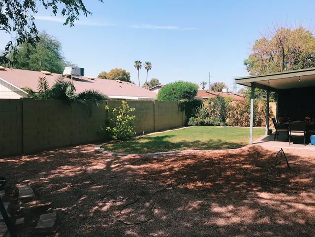 Living Tree Service — customer photo 10