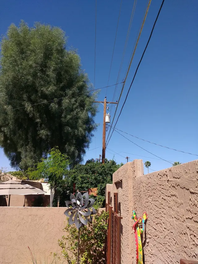 Living Tree Service — customer photo 12