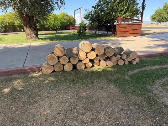 Living Tree Service — customer photo 7