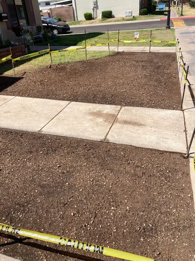 Living Tree Service — customer photo 9