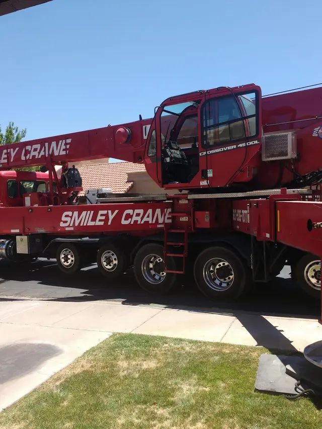 Living Tree Service — customer photo 8