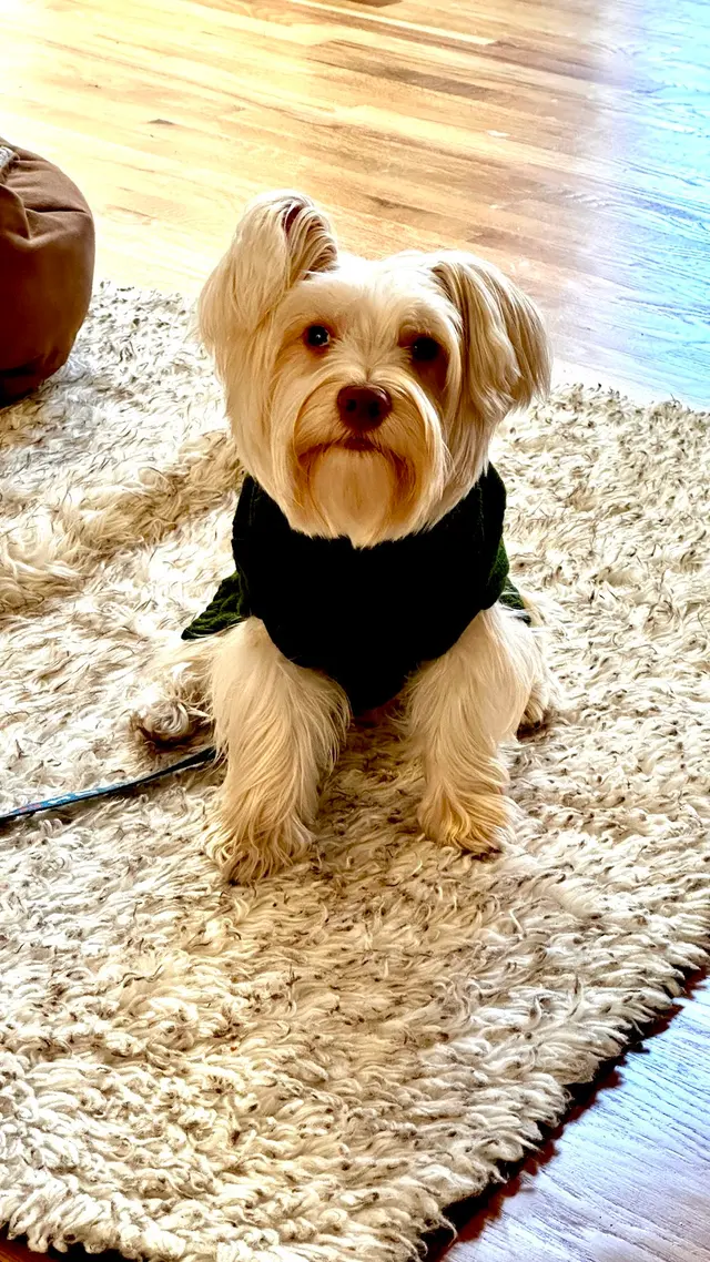 Hidden Valley Animal Hospital — customer photo 2