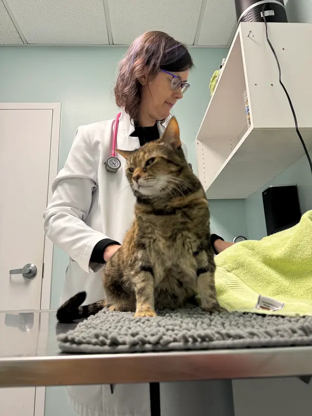 Hidden Valley Animal Hospital — customer photo 11