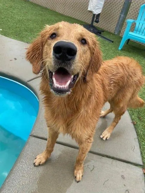 Bone Voyage Pet Resort — photo from the business 3