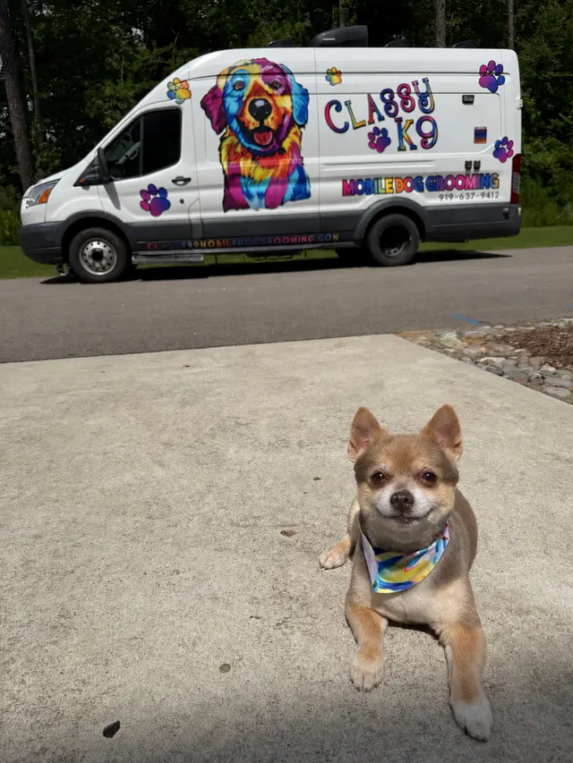 Customer photo of work by Classy k-9 mobile dog grooming, from Kylene Carey's review