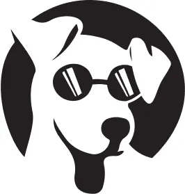 Lucky Dog Mobile Groomers - Raleigh, NC — photo from the business 9