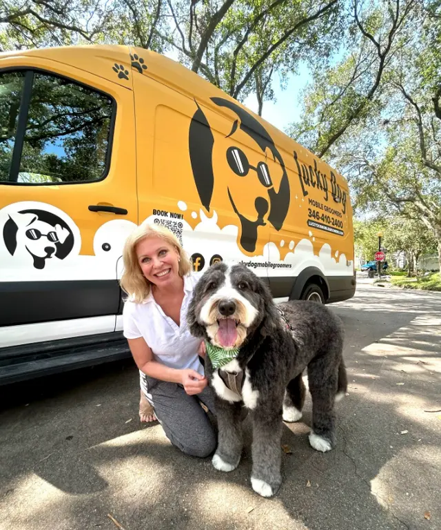Lucky Dog Mobile Groomers - Raleigh, NC — photo from the business 7