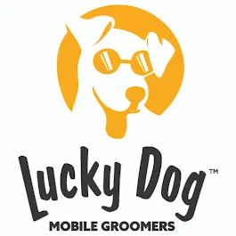 Lucky Dog Mobile Groomers - Raleigh, NC — photo from the business 10