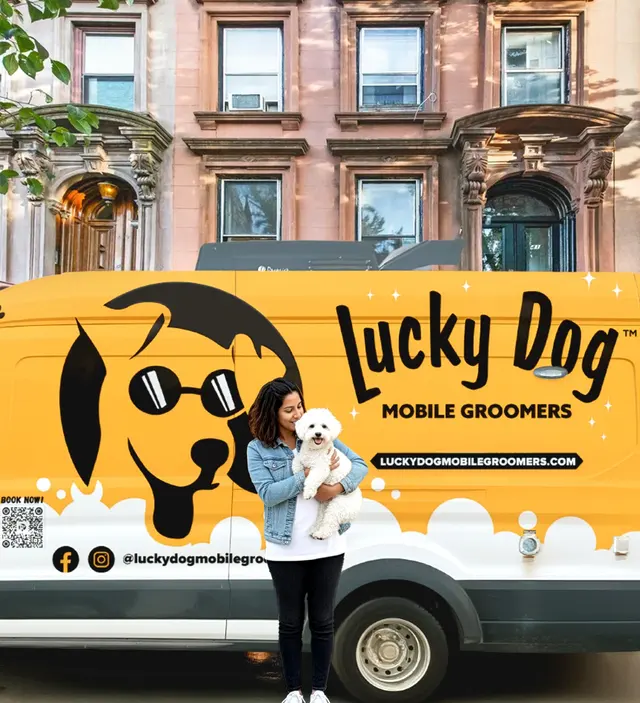 Lucky Dog Mobile Groomers - Raleigh, NC — photo from the business 2