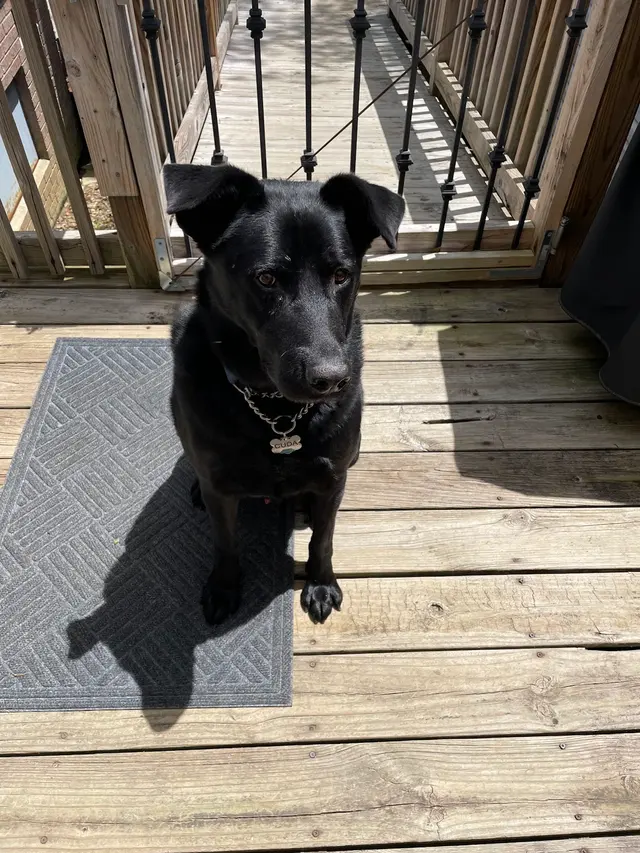 The Fetching Post — photo from the business 1