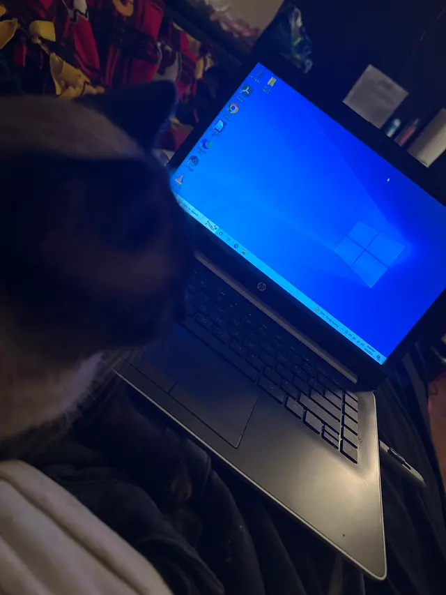 Special Touch Computers — customer photo 10