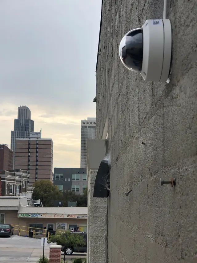 Black Dog IT Solutions — photo from the business 6