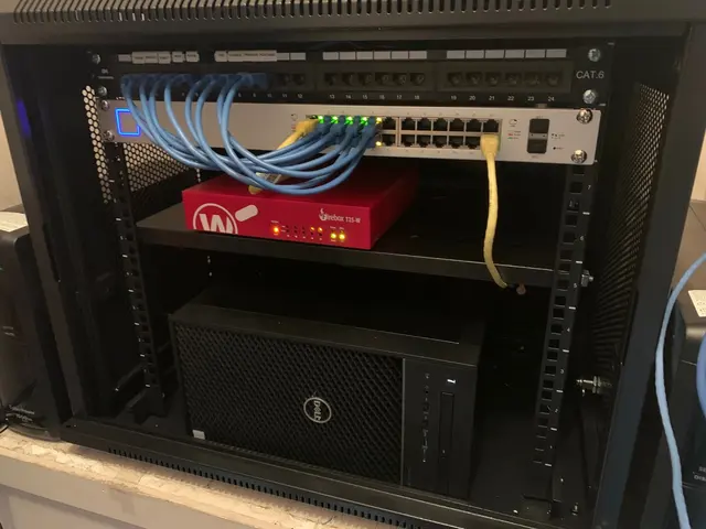 Black Dog IT Solutions — photo from the business 5