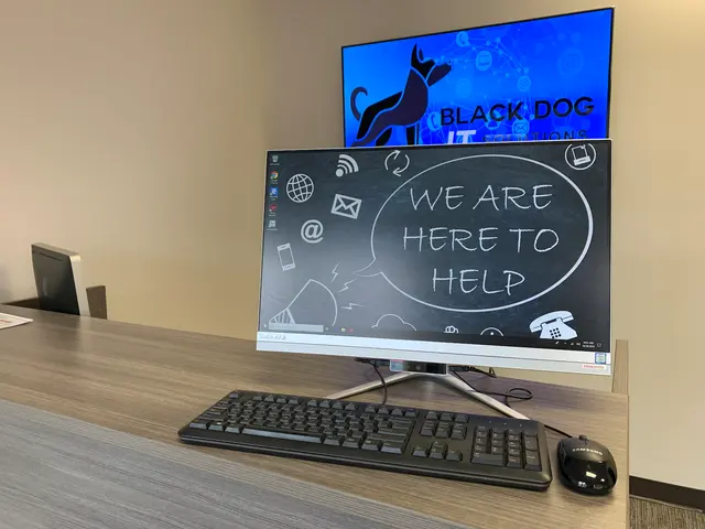 Black Dog IT Solutions — photo from the business 4