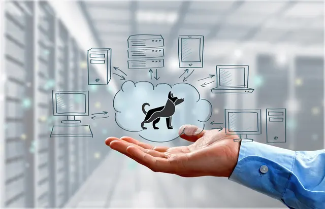 Black Dog IT Solutions — photo from the business 8