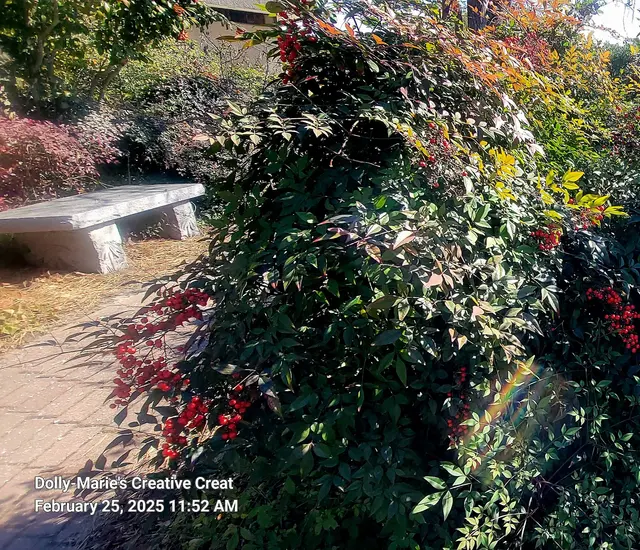Edgar Cayce's A.R.E. Health Center & Spa — customer photo 10