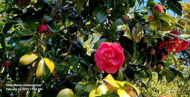 Edgar Cayce's A.R.E. Health Center & Spa — customer photo 9