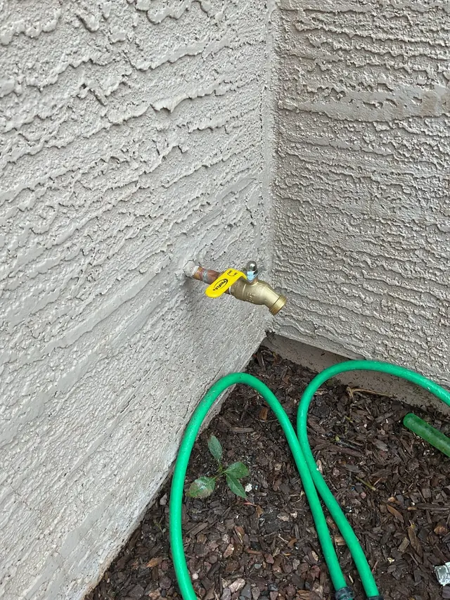 Customer photo from OneNewEnding's review