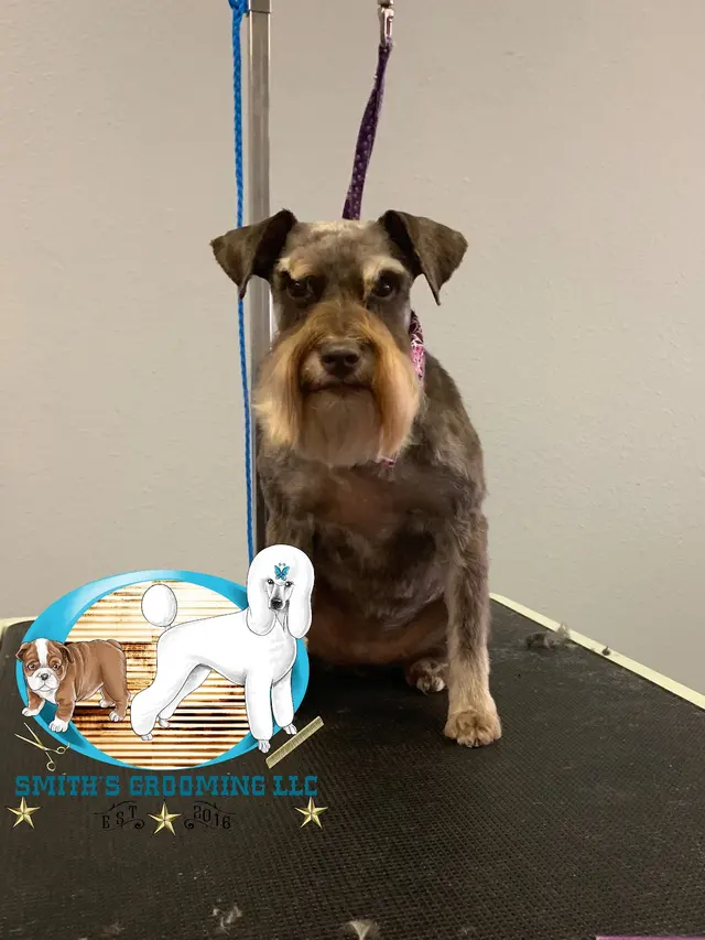 Smith's Grooming LLC — photo from the business 9