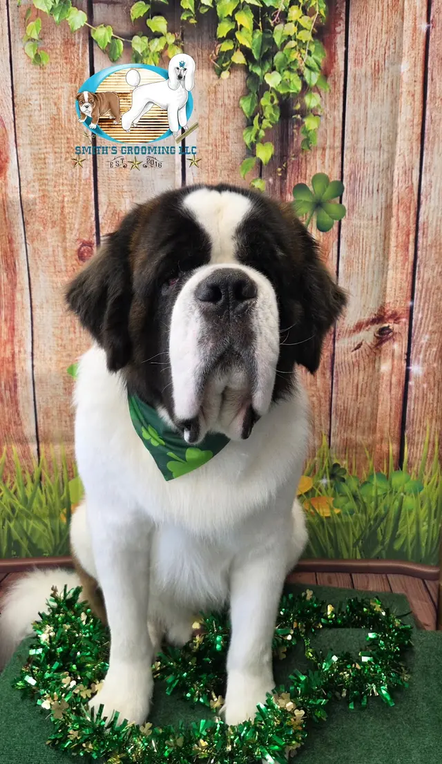 Smith's Grooming LLC — photo from the business 12