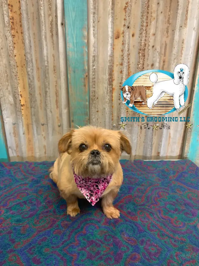 Smith's Grooming LLC — photo from the business 5